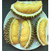 Durian Mon Thong High Quality From Thailand